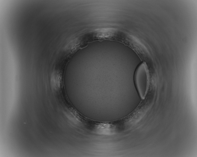 X0000116420227200912151004