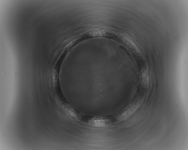 X0000116420228200912151004