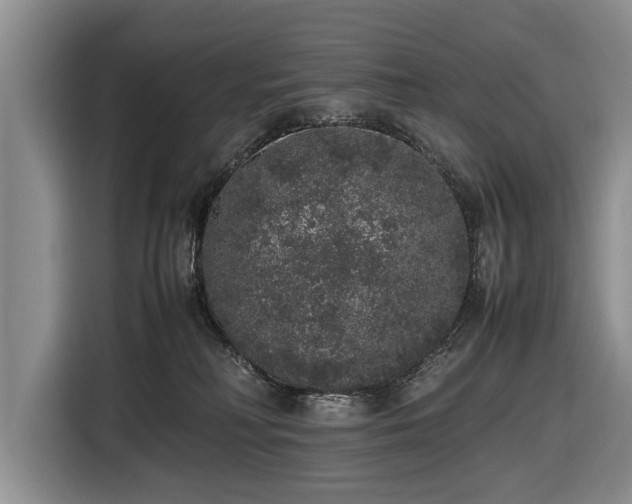 X0000116420230200912151004