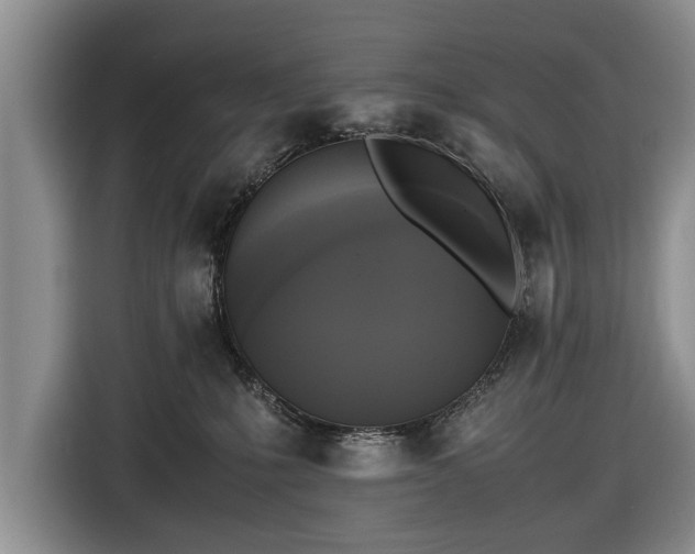 X0000116420231200912151004