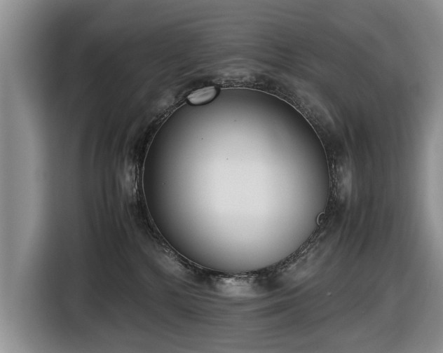 X0000116420232200912151004