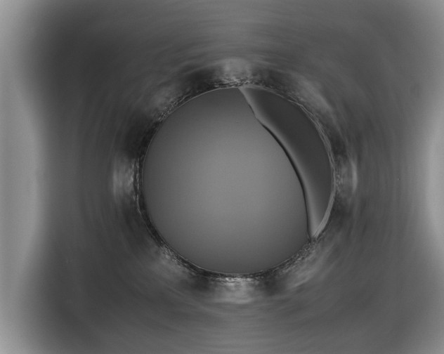 X0000116420233200912151004