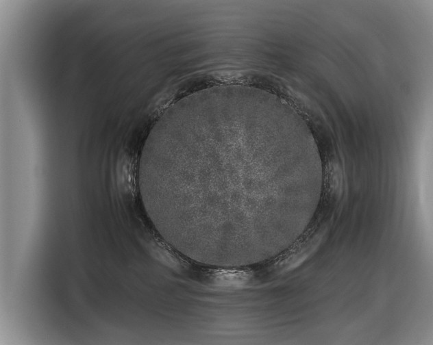 X0000116420234200912151004