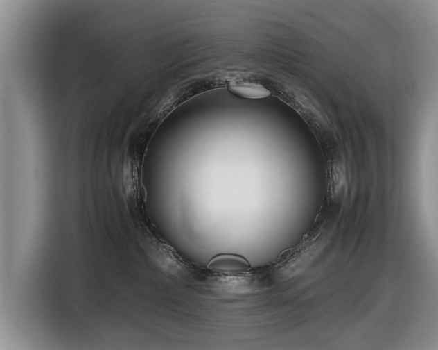 X0000116420236200912151004