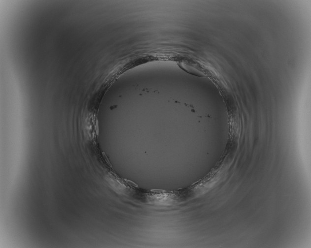 X0000116420237200912151004