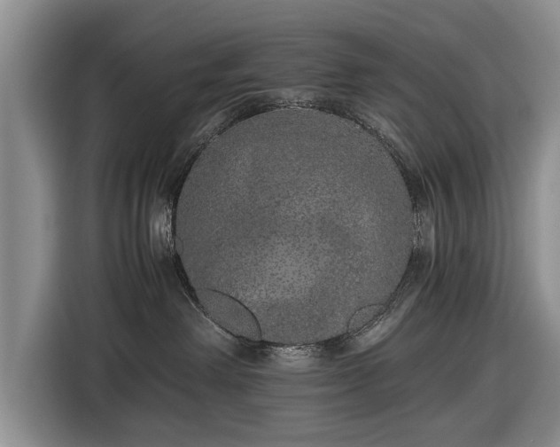 X0000116420238200912151004