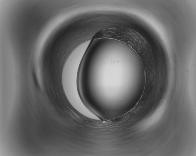 X0000116420239200912151004