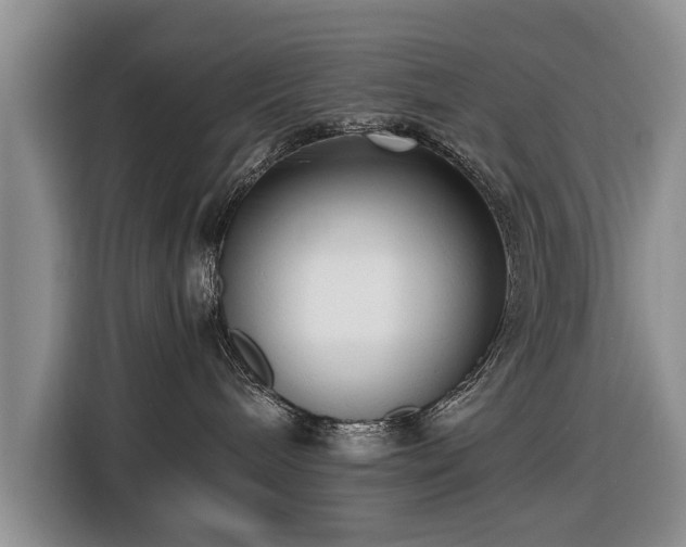 X0000116420240200912151004