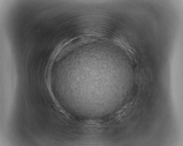 X0000116420241200912151004