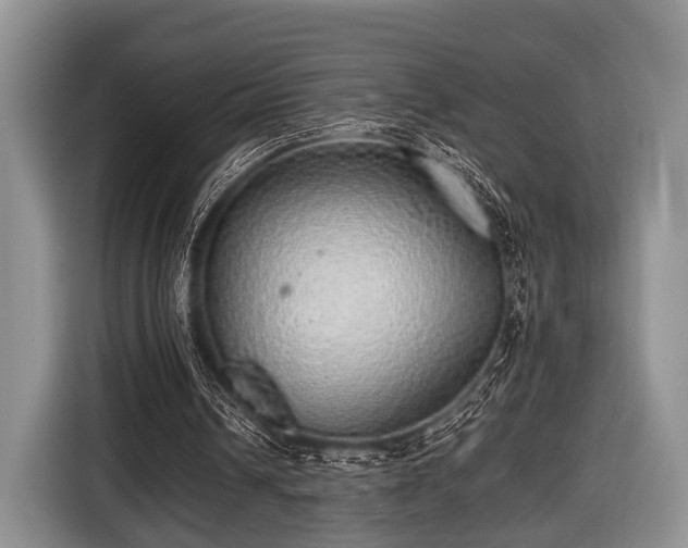 X0000116420242200912151004