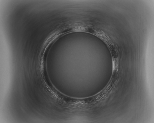 X0000116420243200912151004