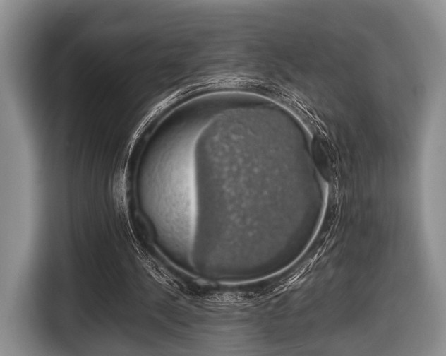 X0000116420244200912151004