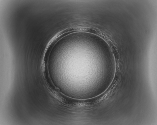 X0000116420246200912151004
