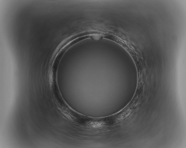 X0000116420247200912151004
