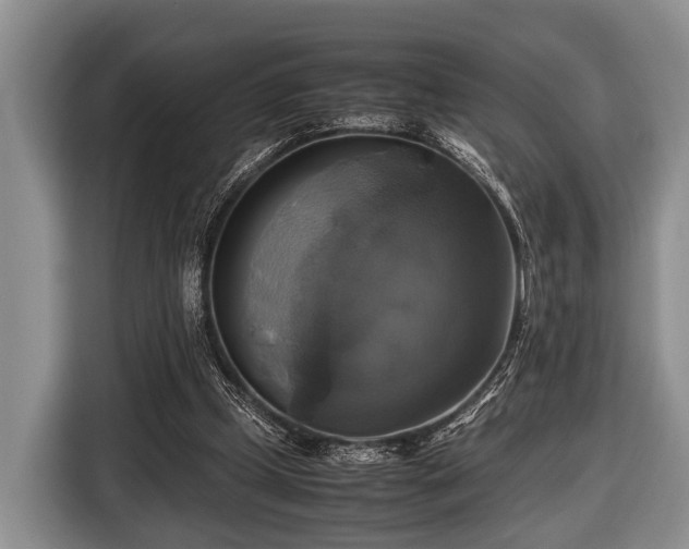 X0000116420249200912151004