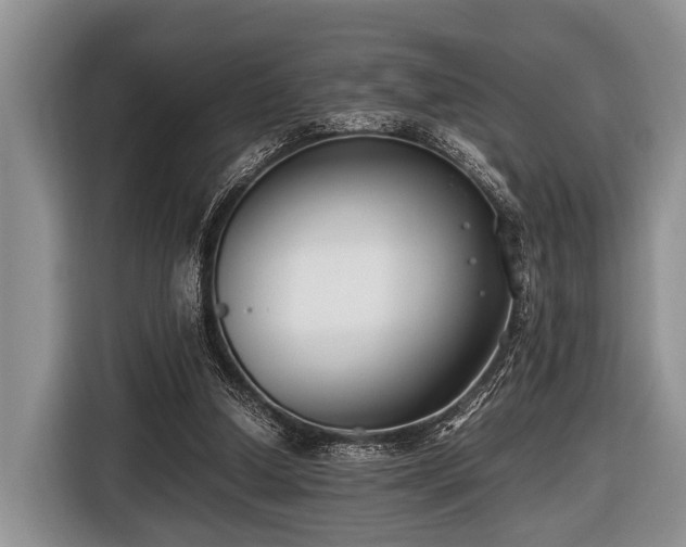 X0000116420250200912151004