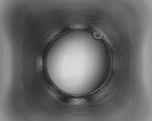 X0000116420251200912151004