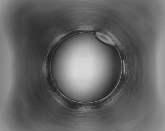 X0000116420252200912151004