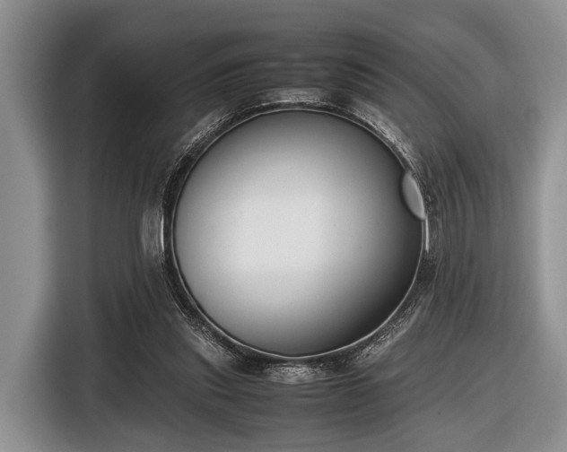 X0000116420253200912151004
