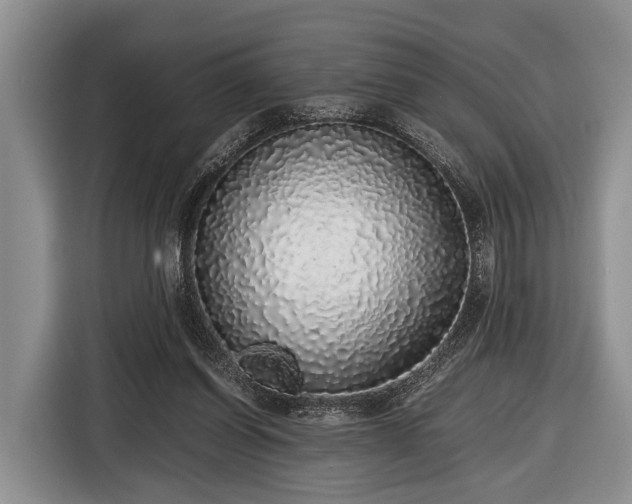 X0000116420254200912151004