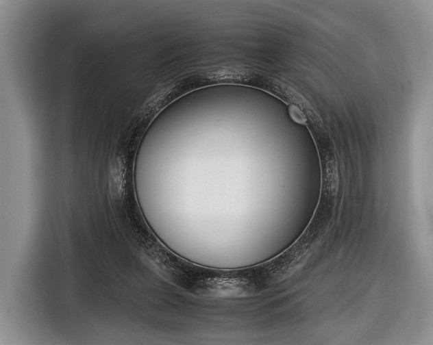 X0000116420255200912151004