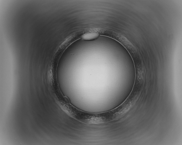 X0000116420256200912151004