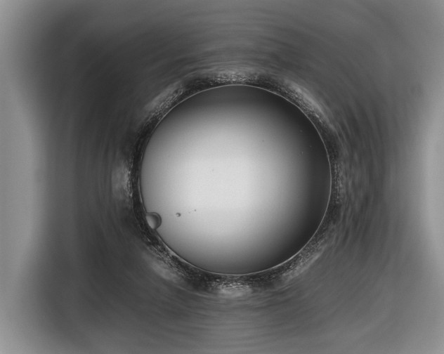 X0000116420258200912151004