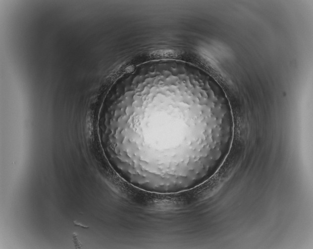 X0000116420259200912151004