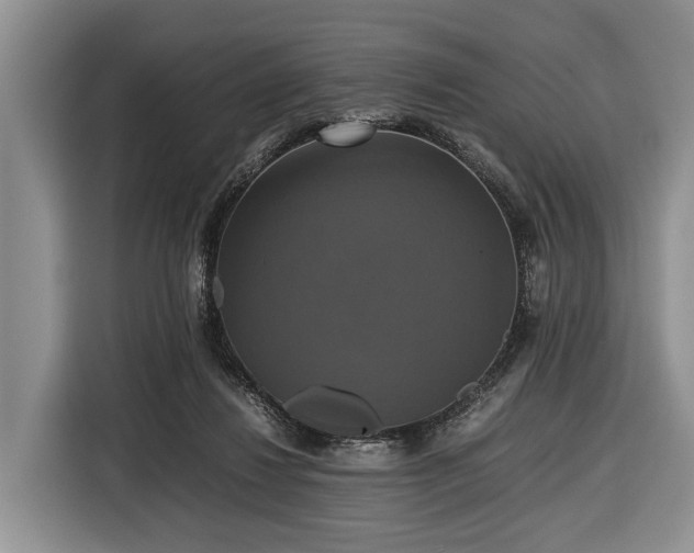 X0000116420260200912151004