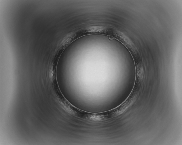 X0000116420261200912151004