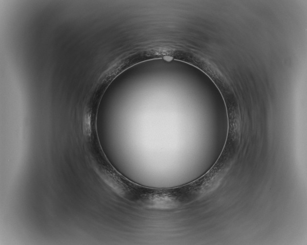 X0000116420262200912151004