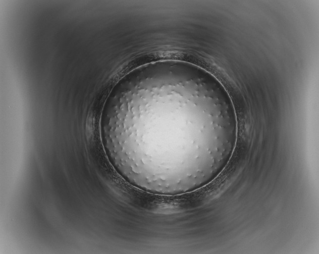X0000116420263200912151004