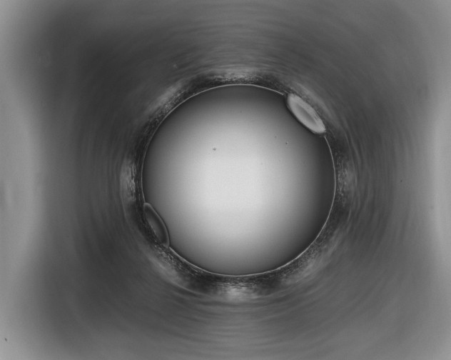 X0000116420264200912151004