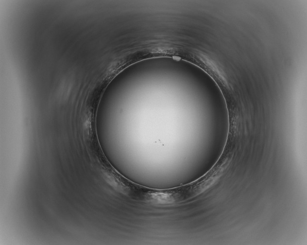 X0000116420265200912151004