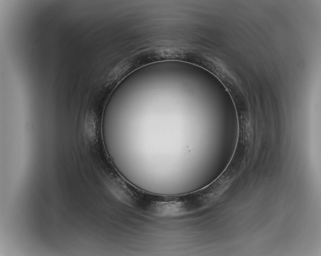 X0000116420266200912151004