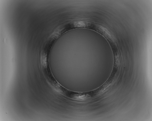 X0000116420267200912151004