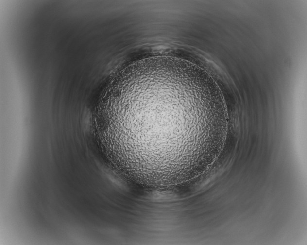 X0000116420270200912151004