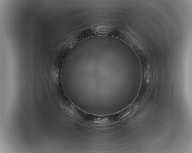 X0000116420271200912151004