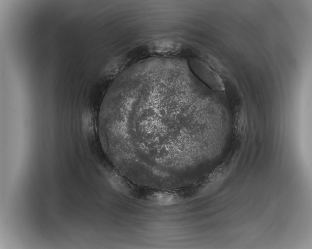 X0000116420272200912151004