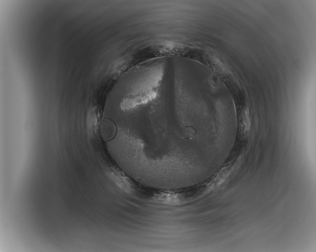 X0000116420276200912151004