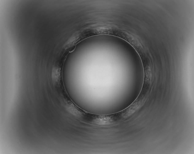 X0000116420278200912151004
