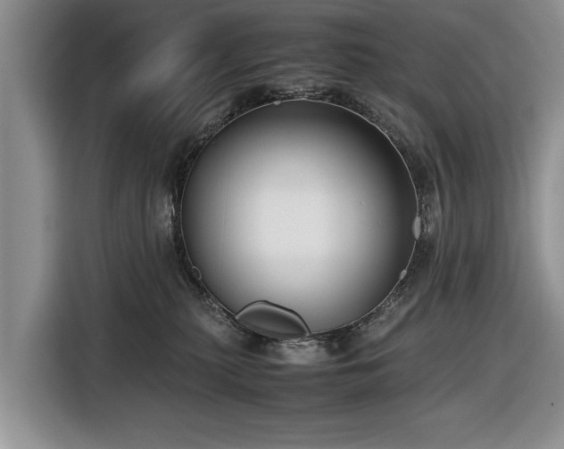 X0000116420279200912151004