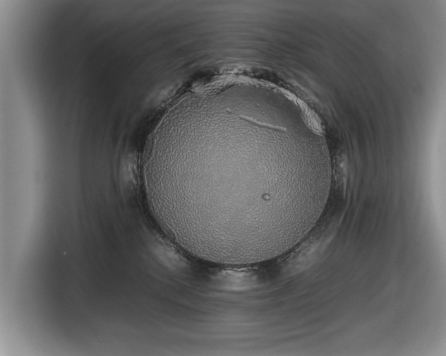 X0000116420280200912151004