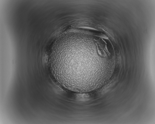 X0000116420281200912151004