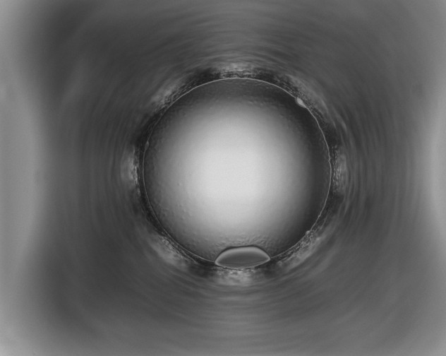 X0000116420282200912151004