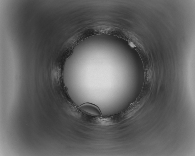 X0000116420283200912151004