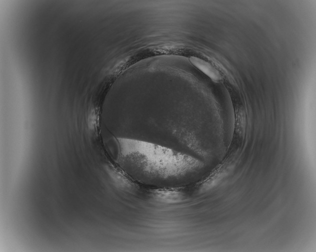 X0000116420284200912151004