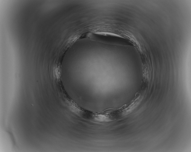 X0000116420285200912151004