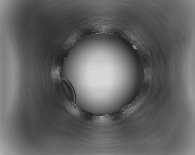 X0000116420286200912151004