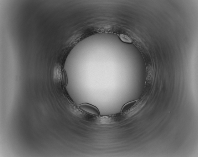 X0000116420287200912151004